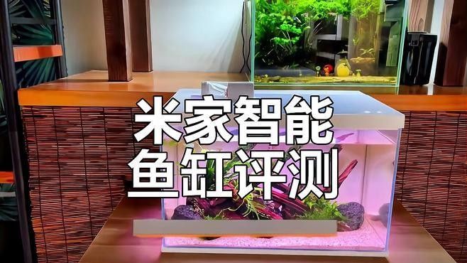 森森和西龍哪個(gè)更智能：森森和西龍?jiān)谥悄墚a(chǎn)品領(lǐng)域的表現(xiàn)各有側(cè)重