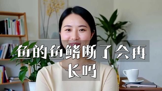 龍魚鰭芽增生需要多長時間：揭秘!魚鰭斷裂,龍魚能否奇跡般再生