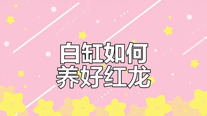 紅眼白子招財龍發(fā)色期需要多長時間？：紅眼白子招財龍發(fā)色期間需要喂什么飼料？