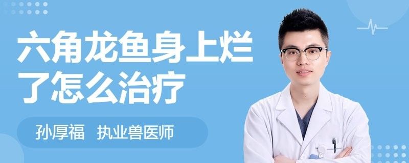 如何預防六角龍魚鰓部潰爛？：“六角恐龍”鈍口螈再生之謎腦洞里的宇宙