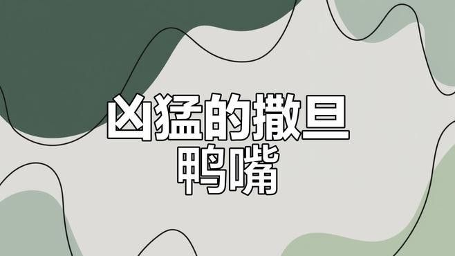 撒旦鴨嘴混養需要多大的魚缸？：南美大型魚混養技巧