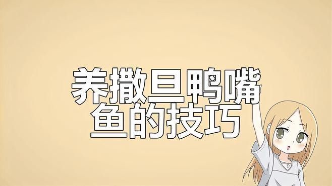 撒旦鴨嘴混養需要多大的魚缸？：南美大型魚混養技巧