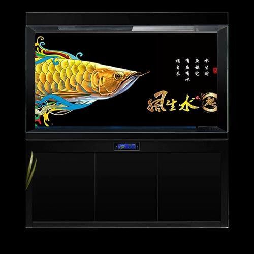 如何判斷龍魚缸的質量？：養龍新手小白如何挑選專業龍缸龍魚缸