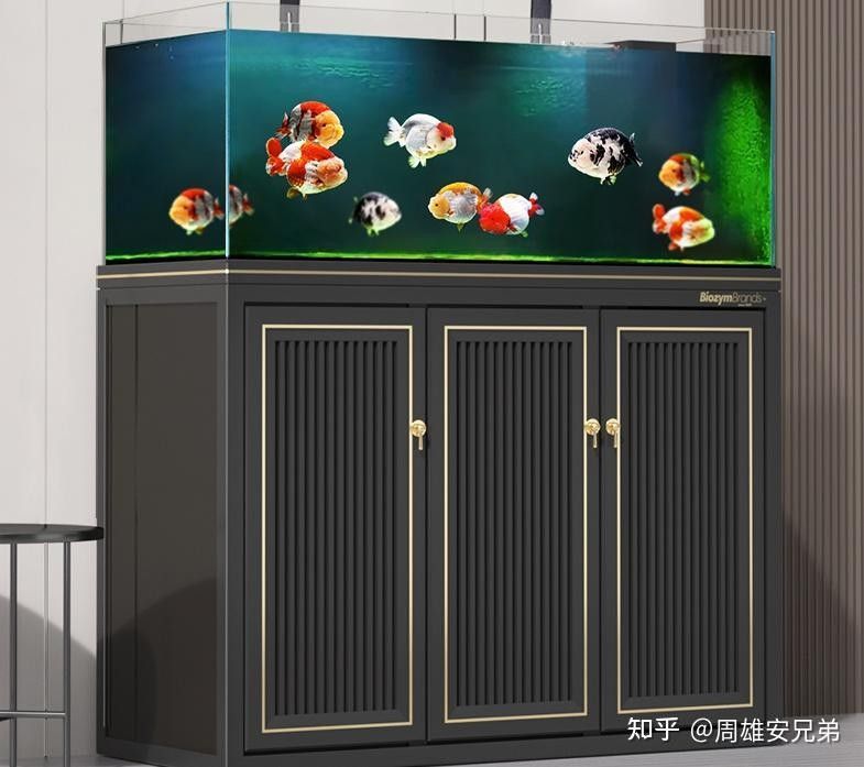 森森和漢霸哪個更值得購買：新手養魚不知道魚缸怎么選看完視頻就懂了