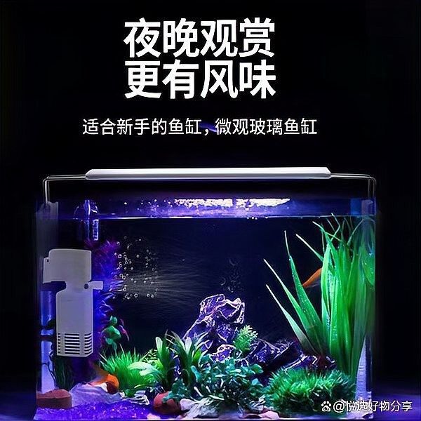森森和漢霸哪個更值得購買：新手養魚不知道魚缸怎么選看完視頻就懂了