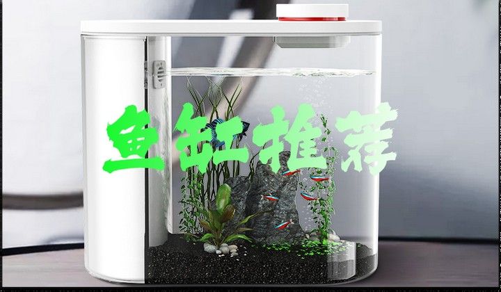 森森和漢霸哪個更值得購買：新手養魚不知道魚缸怎么選看完視頻就懂了