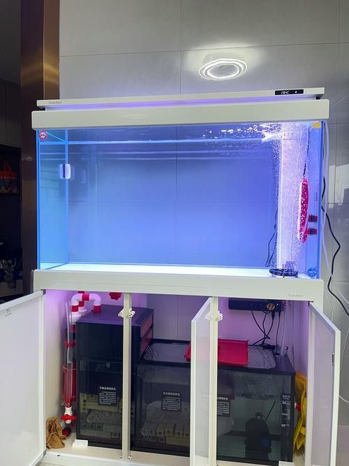 森森和漢霸哪個更值得購買：新手養魚不知道魚缸怎么選看完視頻就懂了