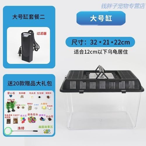 如何選擇適合六角龍的魚缸：六角恐龍魚長大了,一個好有活力好奇發,
