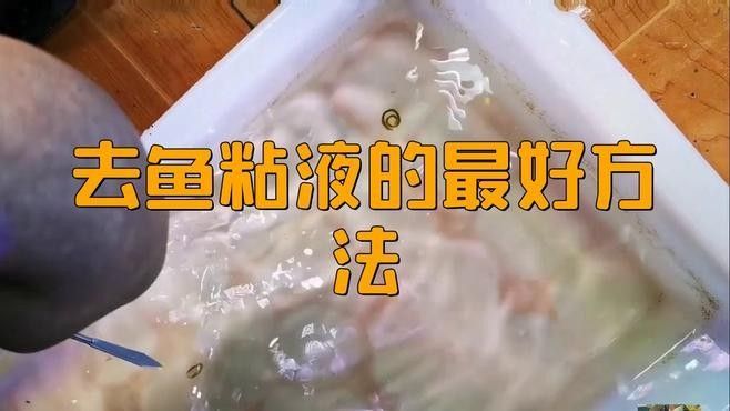 龍魚粘液過多如何治療？：龍魚粘液過多會自愈嗎