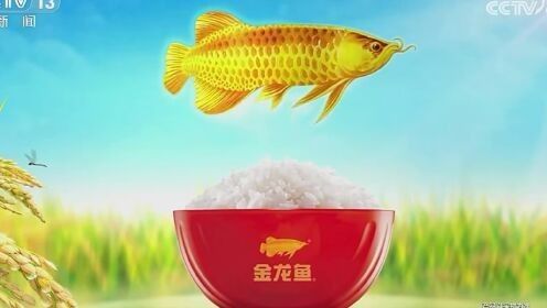能提供金龍魚央視廣告的視頻嗎：cctv品牌發布│金龍魚1:1再升級