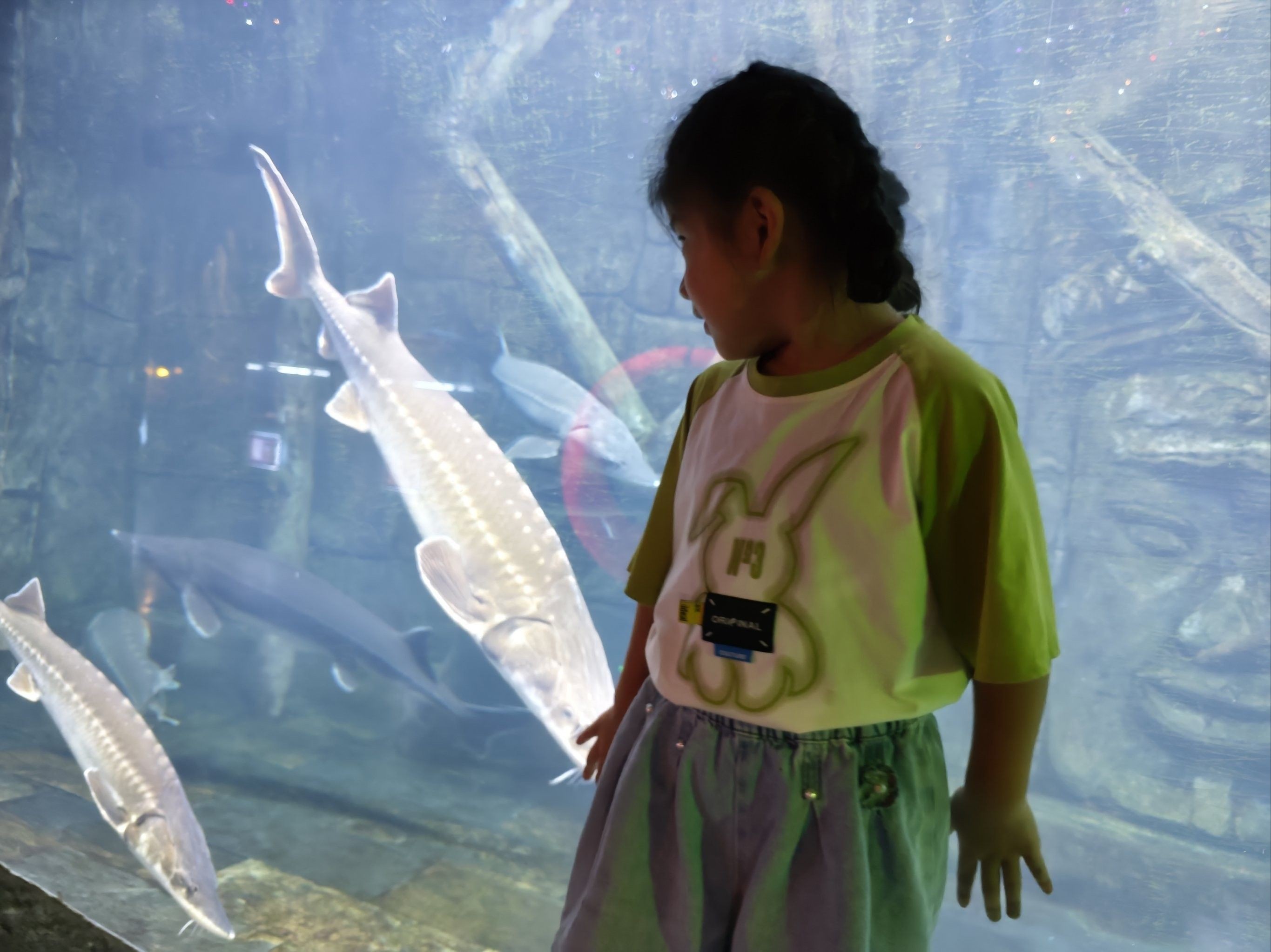 張家港哪個水族館龍魚好？祥龍魚場龍魚：張家港市有以下水族館和店鋪可供觀賞或購買龍魚 張家港哪個水族館龍魚好？祥龍魚場龍魚：張家港市有以下水族館和店鋪可供觀賞或購買龍魚 龍魚百科 第2張