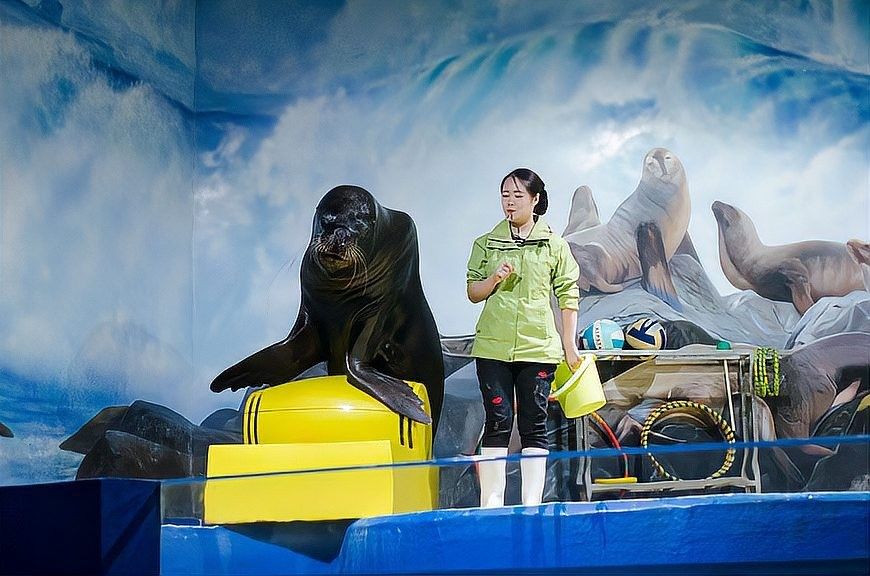 張家港哪個水族館龍魚好？祥龍魚場龍魚：張家港市有以下水族館和店鋪可供觀賞或購買龍魚 張家港哪個水族館龍魚好？祥龍魚場龍魚：張家港市有以下水族館和店鋪可供觀賞或購買龍魚 龍魚百科 第6張
