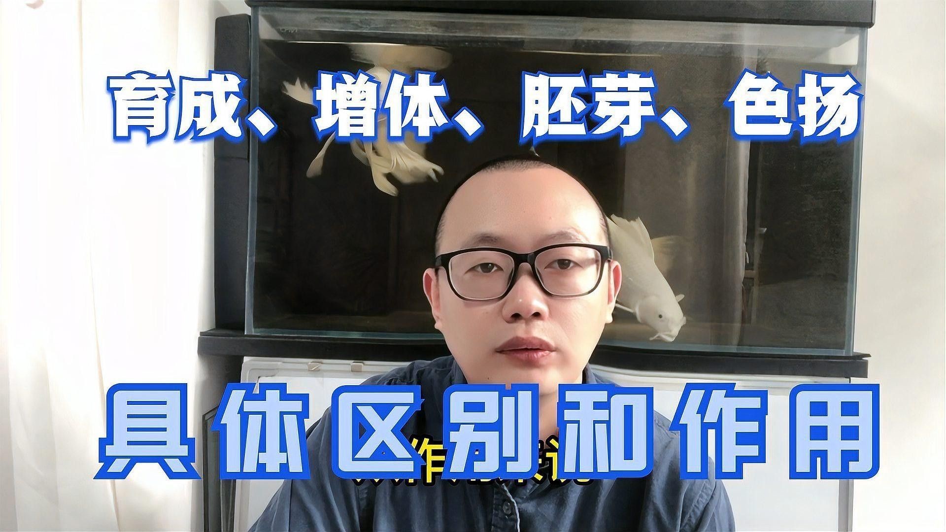 龍魚和錦鯉的飼料有何不同？：龍魚飼料大揭秘錦鯉魚食全攻略觀物品鑒龍魚好養還是錦鯉好養 龍魚和錦鯉的飼料有何不同？：龍魚飼料大揭秘錦鯉魚食全攻略觀物品鑒龍魚好養還是錦鯉好養 龍魚百科 第2張