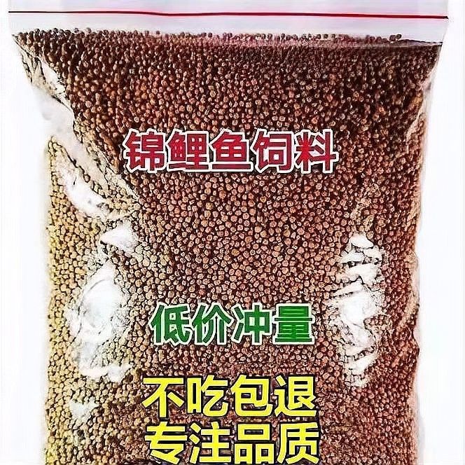 龍魚和錦鯉的飼料有何不同？：龍魚飼料大揭秘錦鯉魚食全攻略觀物品鑒龍魚好養還是錦鯉好養 龍魚和錦鯉的飼料有何不同？：龍魚飼料大揭秘錦鯉魚食全攻略觀物品鑒龍魚好養還是錦鯉好養 龍魚百科 第6張