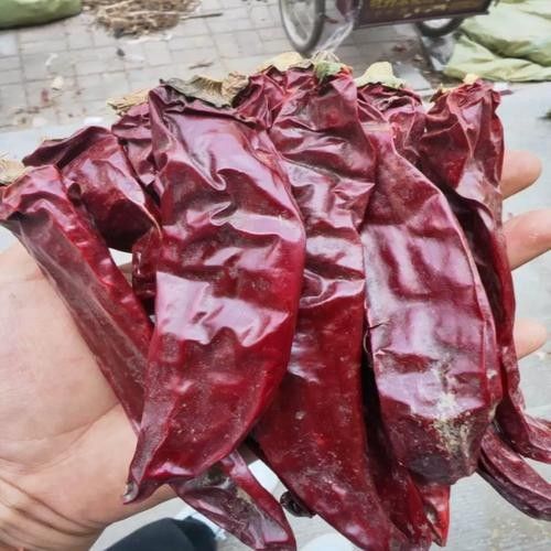 給我一些新加坡紅龍魚高清圖片：富媒體素材庫中未收錄新加坡紅龍魚的高清圖片資源