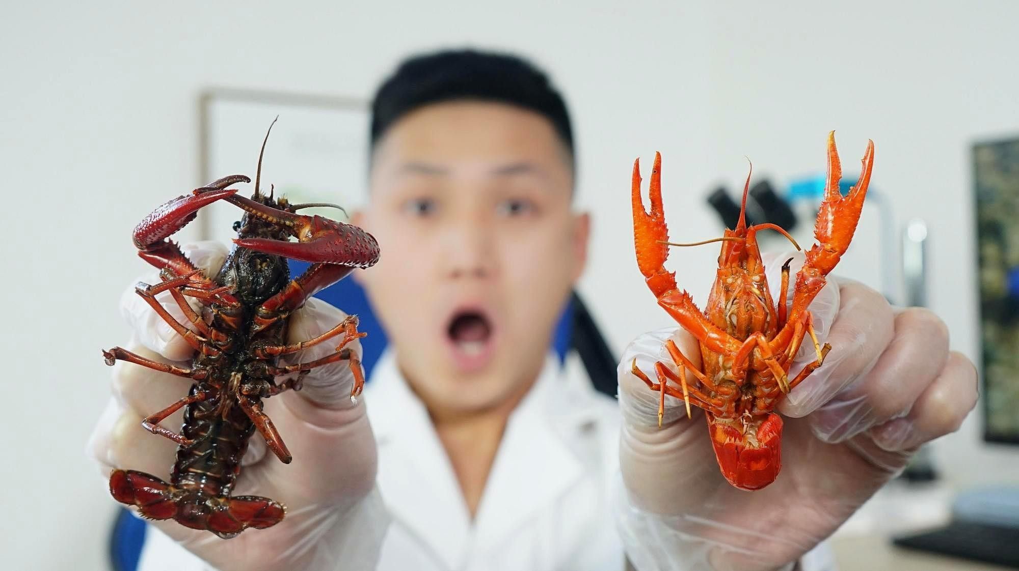 如何確保活餌無寄生蟲：如何防控活餌寄生蟲