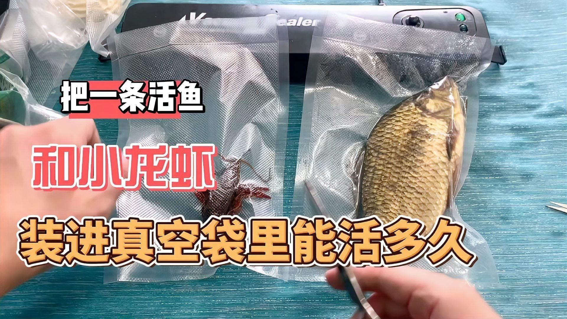 龍魚打包袋如何選擇：活魚袋怎么選