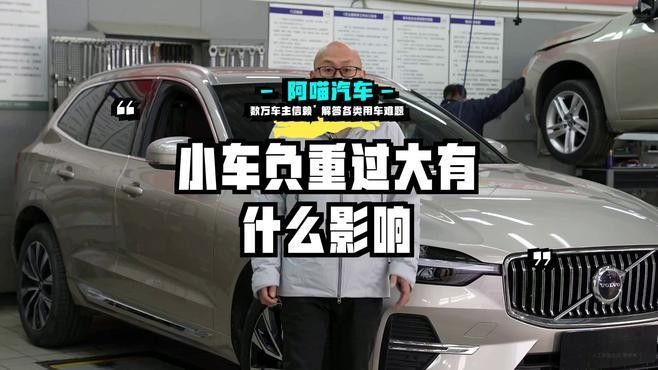 龍貓超重有哪些潛在風險？：龍貓體重管理直接影響健康壽命