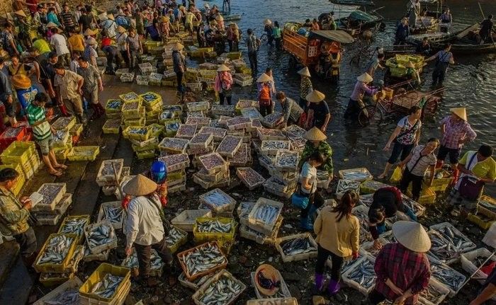如何找到防城港金龍魚批發市場的具體地址：防城港哪些市場有金龍魚批發市場？