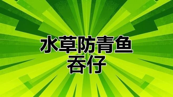 如何分離親魚以避免吞食魚卵？：如何防止母魚吃小魚苗