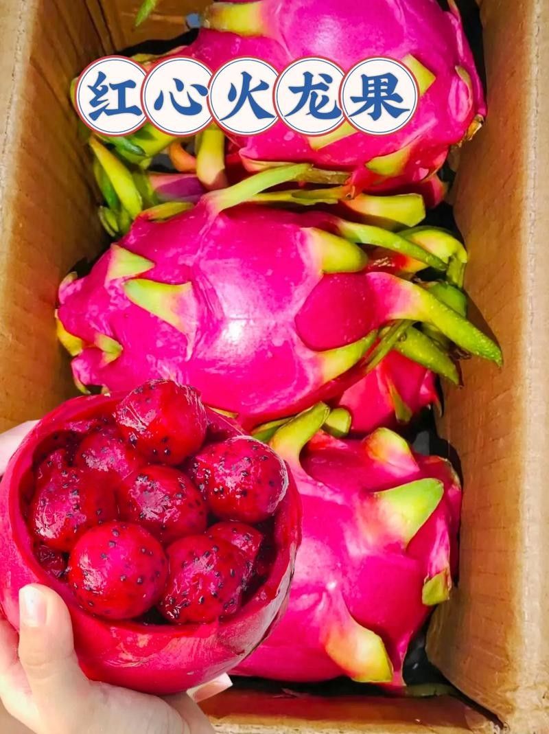 如何挑選紅心火龍果：挑選紅心火龍果時，可通過以下關鍵特征判斷品質：09:00