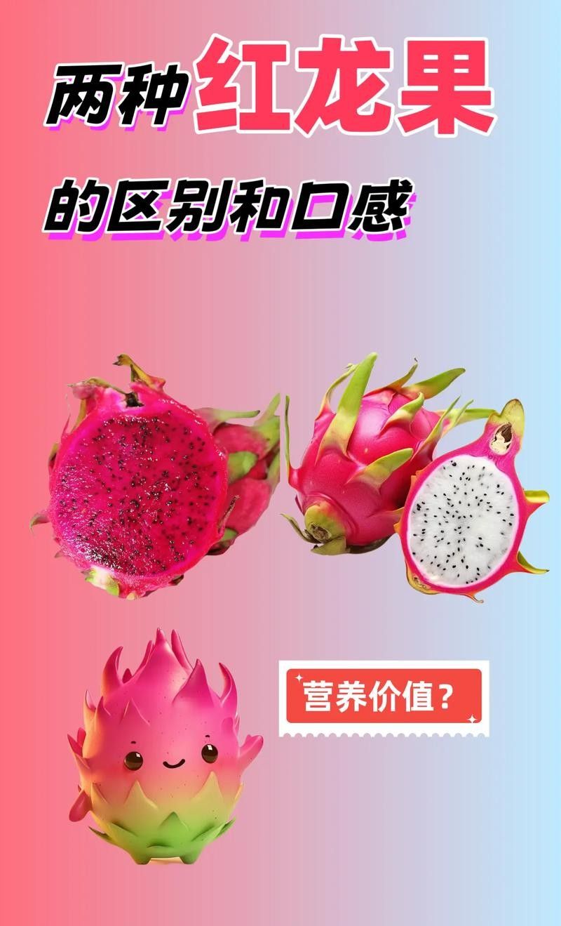 如何挑選紅心火龍果：挑選紅心火龍果時，可通過以下關鍵特征判斷品質：09:00