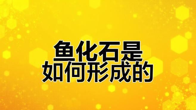 龍魚的歷史演化過程：龍魚的歷史演化過程跨越了數億年