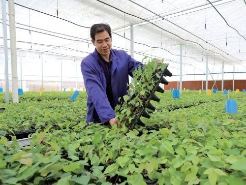 哪種藥材更珍貴？：什么中藥最貴價格最高