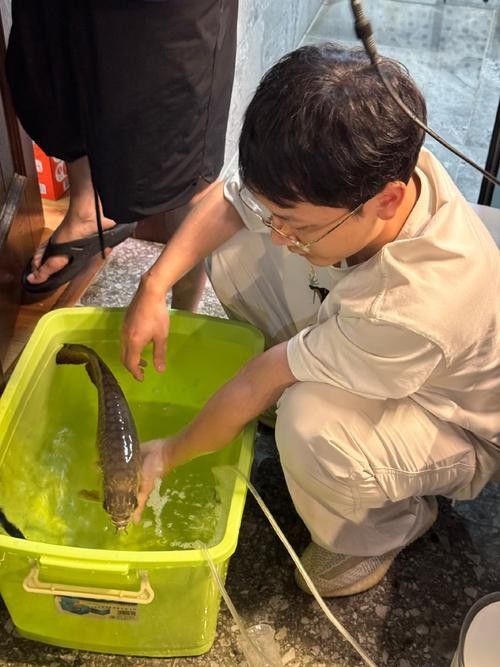 哪種龍魚麻醉藥性價比最高：最新動物麻醉藥價格、批發報價、價格大全