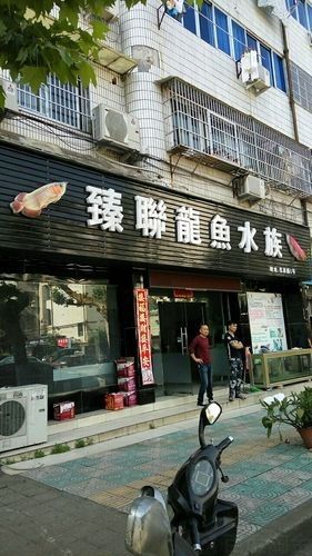 欽州市欽南區龍魚水族店的評價如何：欽州市欽南區龍魚水族店的具體地址在哪里？