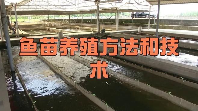 嘉興龍魚養(yǎng)殖場(chǎng)哪家最好：嘉興地區(qū)龍魚養(yǎng)殖場(chǎng)公開數(shù)據(jù)