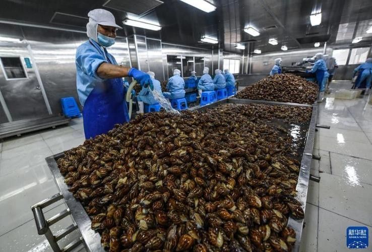 嘉興龍魚養(yǎng)殖場(chǎng)哪家最好：嘉興地區(qū)龍魚養(yǎng)殖場(chǎng)公開數(shù)據(jù)