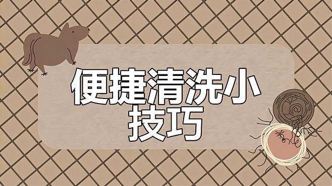 蝸牛分離盒多久清洗一次？：如何照顧蝸牛