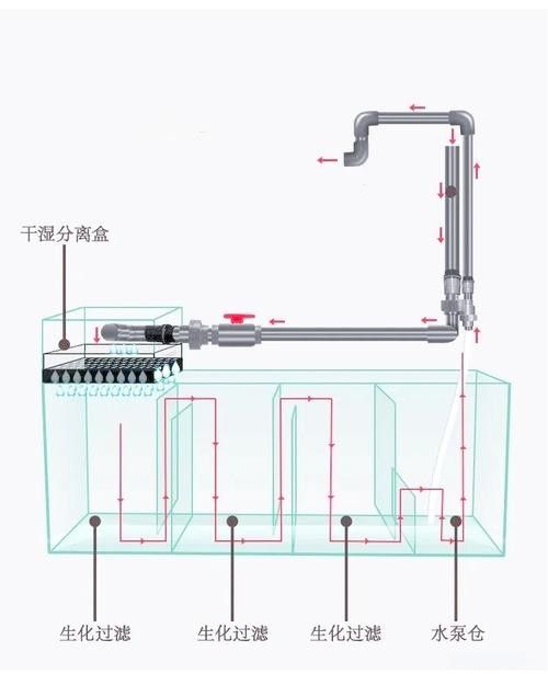 龍魚缸過濾系統有哪些類型：16種魚缸過濾設計原理介紹，總有一種適合你!