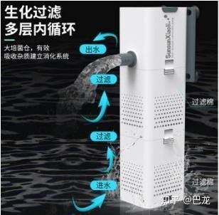 龍魚缸過濾系統有哪些類型：16種魚缸過濾設計原理介紹，總有一種適合你!