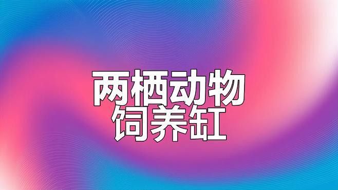 火龍蠑螈需要多大的飼養空間：東方蠑螈的基本信息 火龍蠑螈需要多大的飼養空間：東方蠑螈的基本信息 龍魚百科 第3張