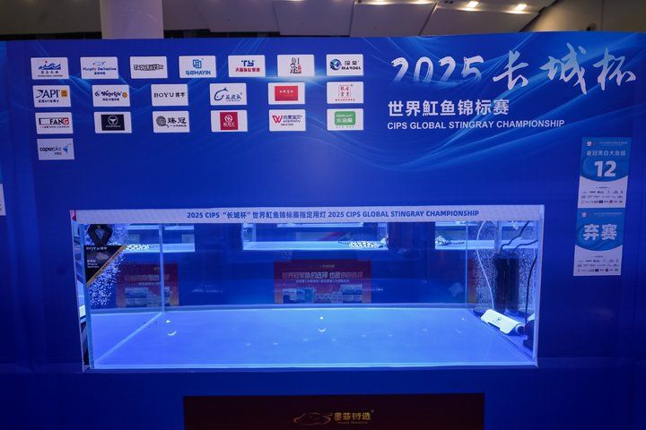 2025 長城杯世界龍虎魟魚錦標賽（魟魚組）
