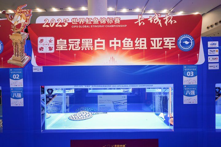 2025 長城杯世界龍虎魟魚錦標賽（魟魚組）