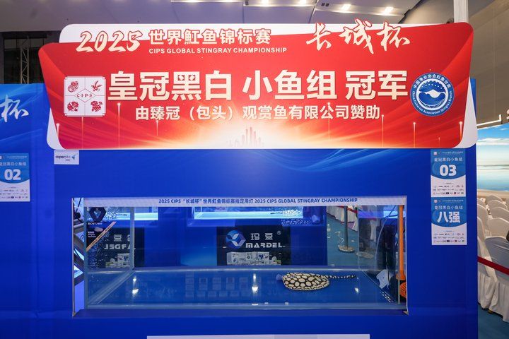 2025 長城杯世界龍虎魟魚錦標賽（魟魚組）