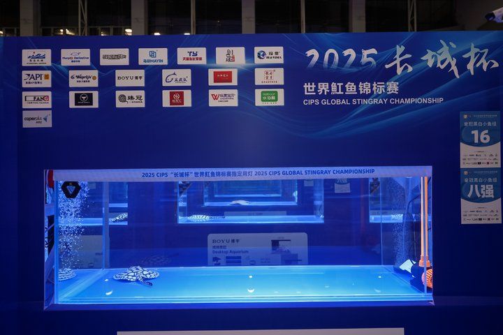 2025 長城杯世界龍虎魟魚錦標賽（魟魚組）