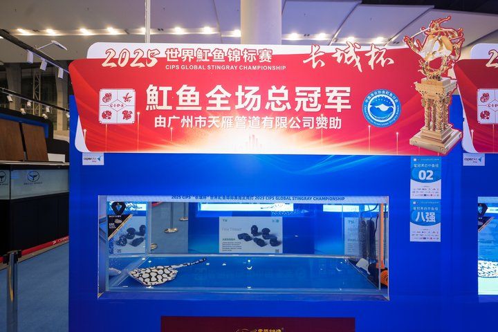 2025 長城杯世界龍虎魟魚錦標賽（魟魚組）