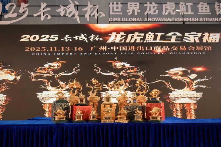 2025 長城杯世界龍虎魟魚錦標賽（魟魚組）