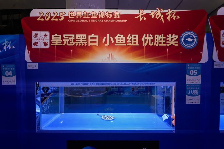 2025 長城杯世界龍虎魟魚錦標賽（魟魚組）