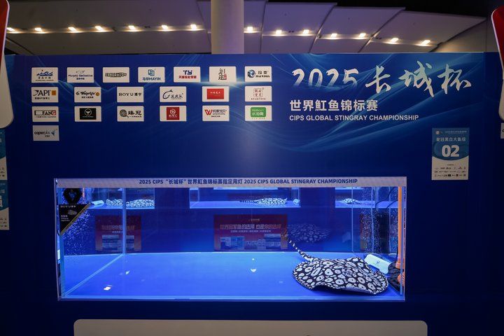 2025 長城杯世界龍虎魟魚錦標賽（魟魚組）