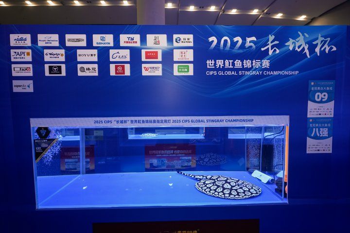 2025 長城杯世界龍虎魟魚錦標賽（魟魚組）