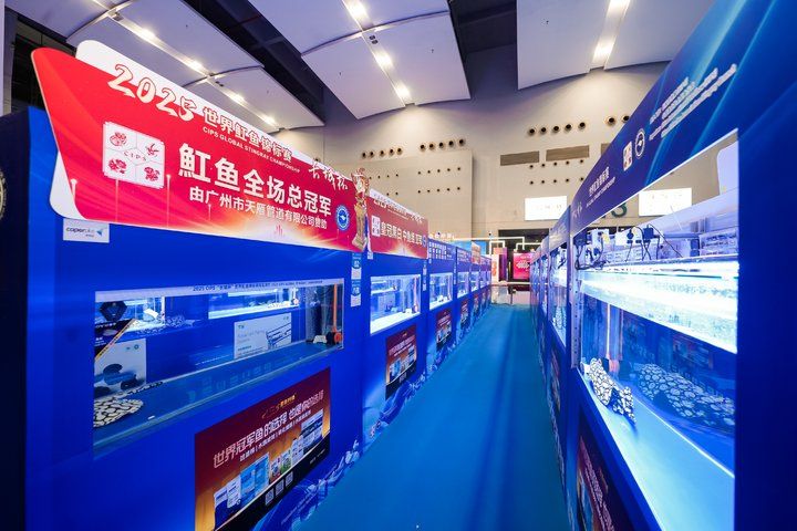 2025 長城杯世界龍虎魟魚錦標賽（魟魚組）
