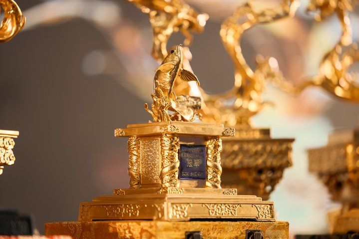 2025 長城杯世界龍虎魟魚錦標(biāo)賽（虎魚組）：2025長城杯世界龍虎魟魚錦標(biāo)賽虎魚組