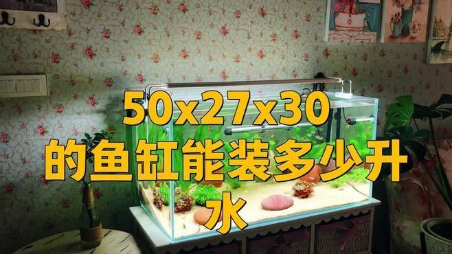 沉木造景需要多大的缸體？：沉木造景的缸體選擇 沉木造景需要多大的缸體？：沉木造景的缸體選擇 龍魚百科 第3張