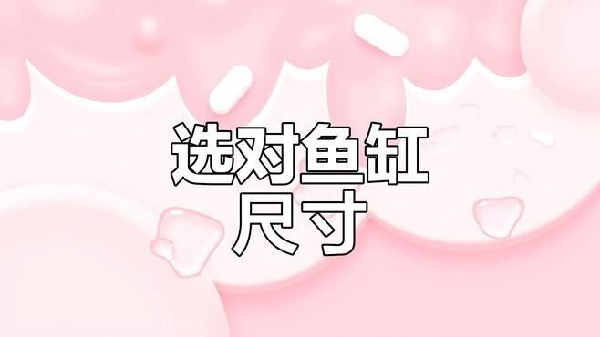 混養時應該如何選擇合適的魚缸大小：twincamfx魚缸尺寸解析