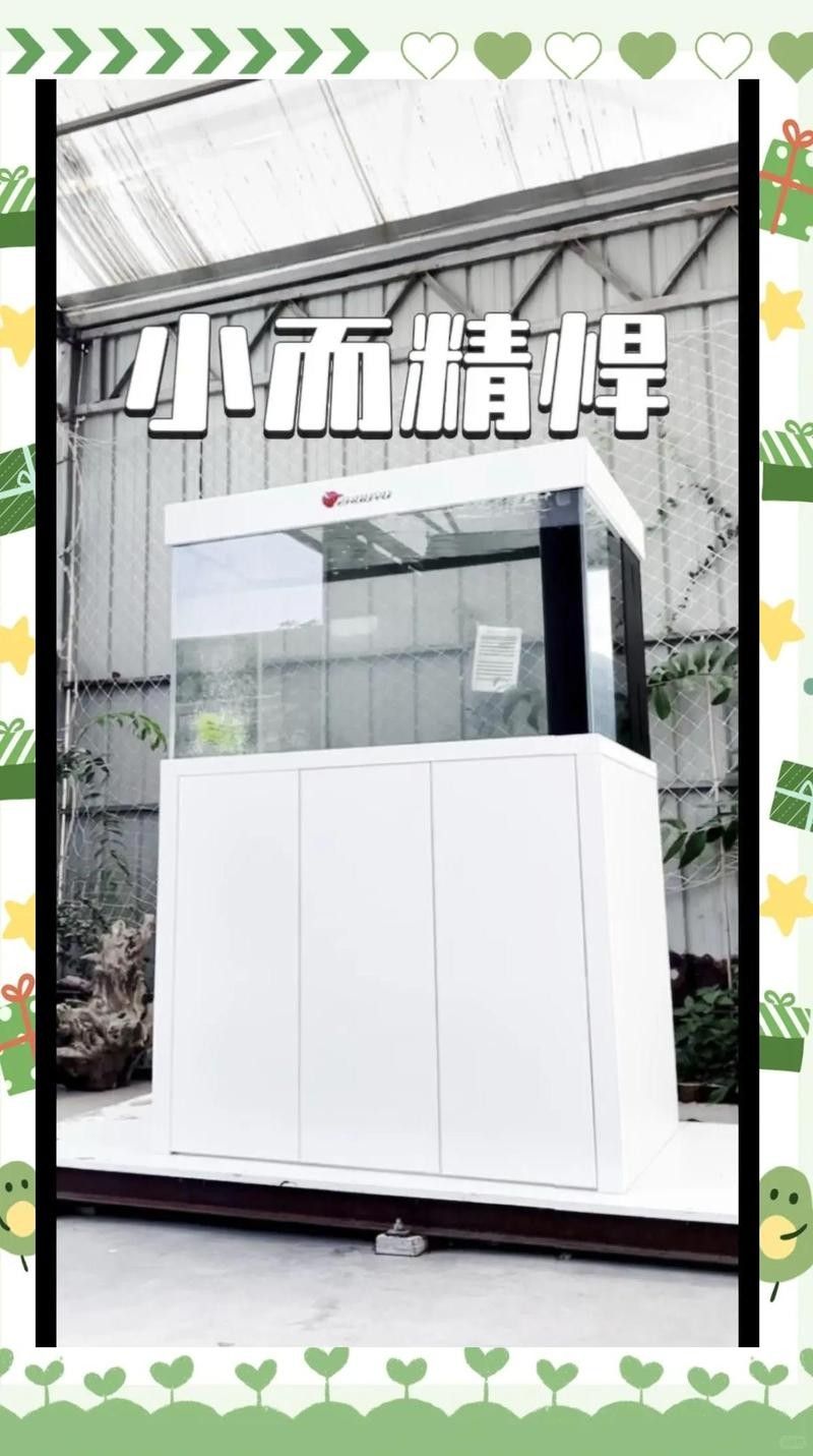 混養時應該如何選擇合適的魚缸大小：twincamfx魚缸尺寸解析